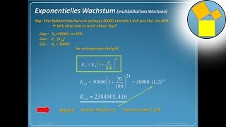 Exponentielles Wachsen und Abnehmen  Rueff [upl. by Ishii]