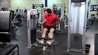 Life Fitness Pro2 Back Extension Instructions [upl. by Ttayw]