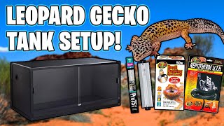 Leopard Gecko Setup for beginners [upl. by Liew182]