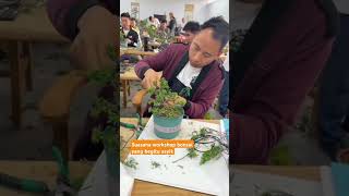 MERIAH SUASANA WORKSHOP BONSAI bonsaiclass bonsaibeginner [upl. by Ynnaj]