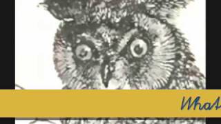 c 021 Video Lesson XXI An owl  McGuffeys Eclectic Primer revised edition [upl. by Eniamreg]