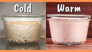 Which is the Best Slow Fermentation Method Cold vs Room Temperature Compared [upl. by Leafar]