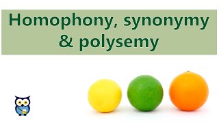 Homophony Synonymy Polysemy [upl. by Labotsirhc]