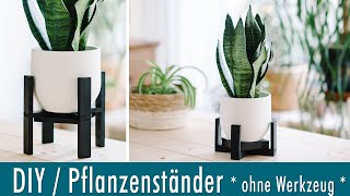 DIY  Pflanzenständer aus Holz selber machen ohne Werkzeug  schnell und einfach [upl. by Harley]