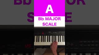 Bb Major Scale On Piano Easy Tutorial For Beginners  Music Simply Understood music Bbmajor [upl. by Akiner]