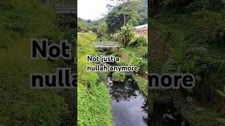 Whats so special about this nullah ecology hydrology nature river environment ecofriendly [upl. by Nassah]