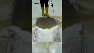 Unbelievable Stain Removal  Instant Results [upl. by Nellad]