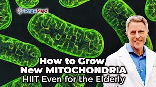 How to Grow New Mitochondria  HIIT Even for the Elderly [upl. by Dlorad]