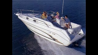 1995 Sea Ray 250 Sundancer [upl. by Yatnuhs]