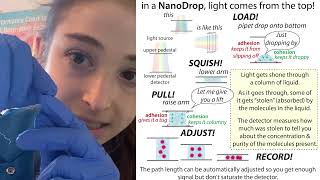 How a NanoDrop works [upl. by Belvia]