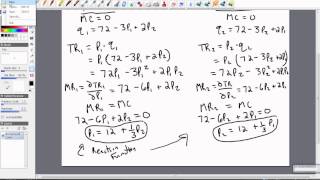 Oligopoly Bertrand Competition with Differentiated Goods [upl. by Weinberg136]