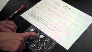 Forming Ionic Compounds Lab [upl. by Woodhouse]