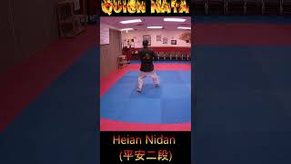 Kata Tutorial Heian Nidan karate karatekata heiannidan [upl. by Shenan557]