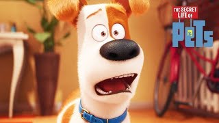 The Secret Life of Pets Full Movie Facts And Review  Hollywood Movie  Full ExplainationKevin Hart [upl. by Etezzil]