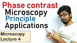 Phase contrast microscopy principle and working [upl. by Knepper]