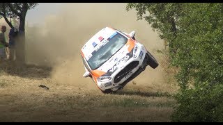 Rallye Terre de Langres 2019 FullHD  Crashs and Mistakes [upl. by Koerner]