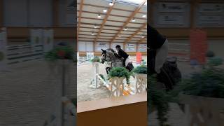 Showjumping competition 😎 pferd horse equestrian [upl. by Atilrac]