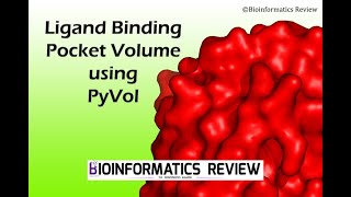 Calculate Binding Pocket Volume in Pymol using PyVol plugin [upl. by Akcir453]