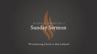 Proclaiming Christ in the Culture — Bishop Barron’s Sunday Sermon [upl. by Oates232]