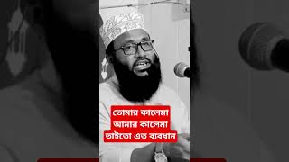 তোমার কালেমা আমার কালেমা তাইতো এত ব্যবধান mawlana Mufti Abu Hanif Ishaki 01771559838 shortvideo [upl. by Angelina759]