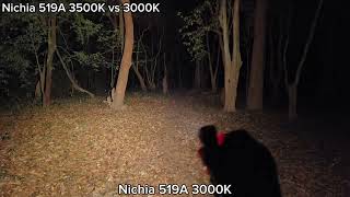 Tint Comparison  Nichia 519A 3500K vs 3000K in dark forest เปรียบเทียบแสง 3500k กับ 3000K ในป่า [upl. by Assenab]