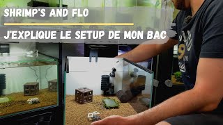 Aquarium pour crevette caridina cantonensis Tuto [upl. by January]