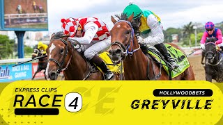 20241113 Hollywoodbets Greyville Race 4 won by LUCRETIUS [upl. by Gemma71]