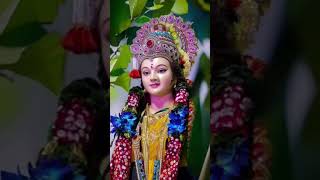 manoj kori short video Jay Mata Di Jai Mata Di 🌸🔱🌸🔱🌸🔱🚩 [upl. by Tobey]