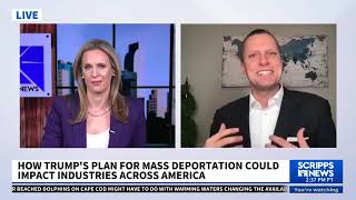 Mattson Newell  Scripps News  Impact of Mass Deportation [upl. by Selene]