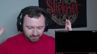 Skillet  Awake And Alive Reaction [upl. by Yhtorod]