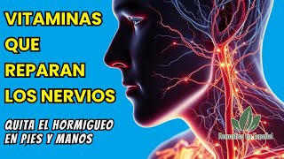 🟥 Las Mejores VITAMINAS para SANAR NERVIOS Dañados Rápidamente  Hormigueo y Dolor en Manos y Pies [upl. by Didier]