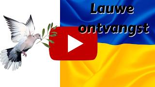 Vredesplan Oekraïne lauw ontvangen in VN en VS [upl. by Kessia]