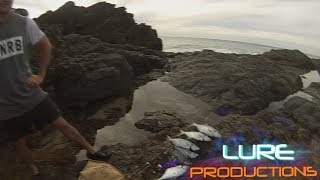 DOUBLE ISLAND POINT SURF AND FISHING DOUBLE VIDEO  LUREPRODUCTIONS [upl. by Kcirdor640]