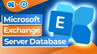 How to backup Microsoft Exchange Server Databases [upl. by Bradlee]