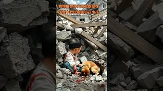 The golden retriever had a witty voice and bravely dug to rescue a trapped child in the rubble Th [upl. by Ynaffad]