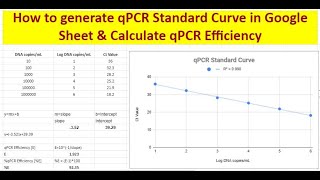 How to generate qPCR Standard Curve amp Calculate qPCR assay efficiency in google sheets [upl. by Amye]