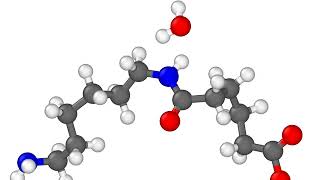 Nylon polycondensation using REACTER [upl. by Everson]