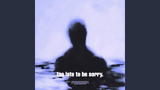 too late to be sorry Slowed  Reverb [upl. by Sisxela]