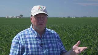 Roundup Ready® 2 Xtend® Grower Kyle Kopp of Farmer City Illinois [upl. by Lewison]