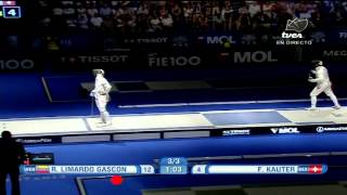 Resumen combate de Rubén Limardo Mundial de Esgrima 2013 [upl. by Ykcim]