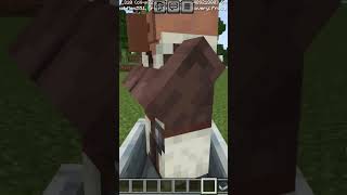 Villagers mo ncraft shortfeed [upl. by Kono]