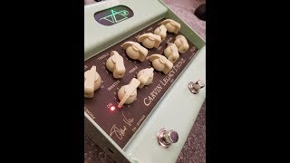 Carvin VLD1 Review  The Vai Sound for £500 [upl. by Evante82]