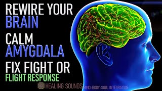 Rewire your Brain  Calm your Amygdala  Let Go of Anxiety and PTSD  Fix Fight or Flight Response [upl. by Thorny]