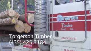 Torgerson Timber Bicknell Utah [upl. by Rosa]