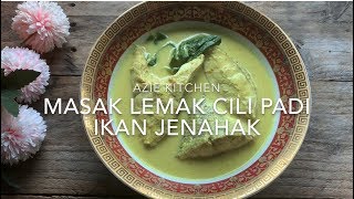 Masak Lemak Cili Api Ikan Jenahak [upl. by Heloise]