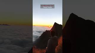 The Most Majestic Peak in India  Kolukkumalai Peak ytshorts ytshortsindia ytviral [upl. by Neened]