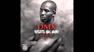 DMX  Whats My Name Tron Remix [upl. by Rosen244]