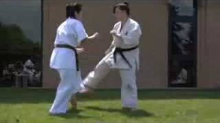 Kyokushin Demo [upl. by Roybn]