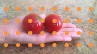 The Best Exercises for Health  Chinese Therapy Balls  Lesson 1 [upl. by Ennovad]