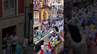 encierro completo San Fermines Pamplona 2024 ❤️ [upl. by Kurtzman440]